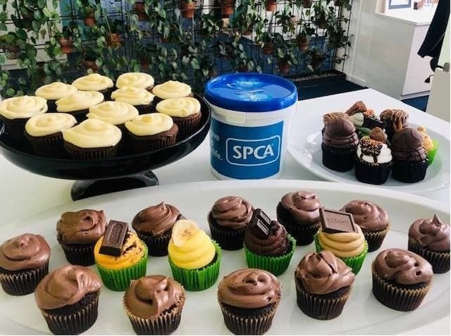 Harcourts Albany - SPCA Cupcake Day